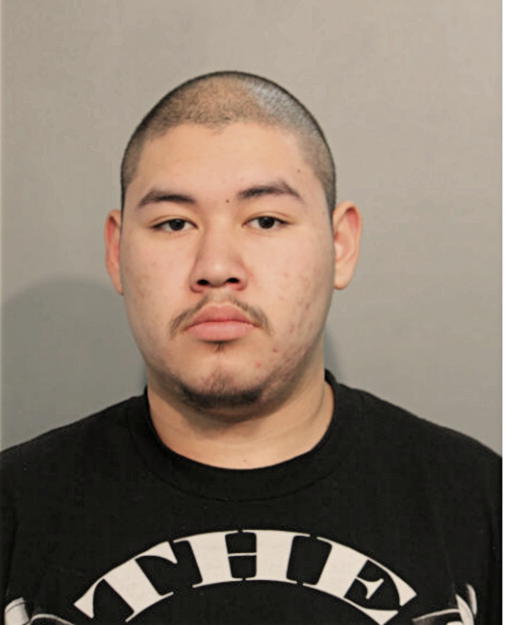 CESAR A MARTINEZ, Cook County, Illinois