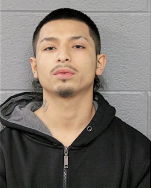 JOSE A PENA, Cook County, Illinois