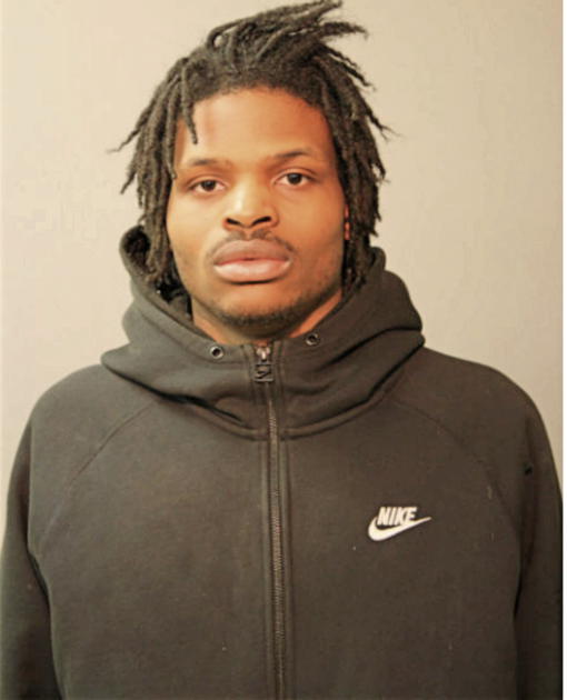 BRIAN D REED, Cook County, Illinois