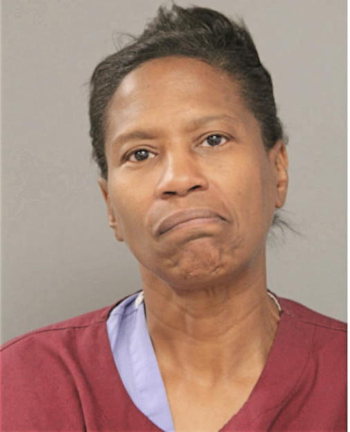 LISA D RODDY, Cook County, Illinois