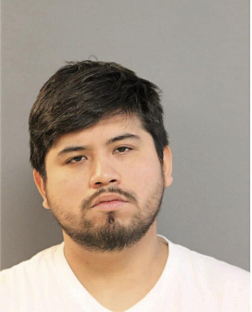ADAIR SOLIS, Cook County, Illinois