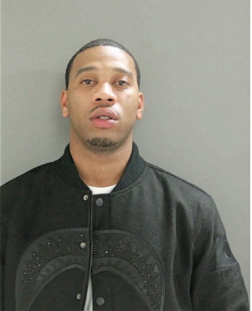 BRIAN D VINSON, Cook County, Illinois