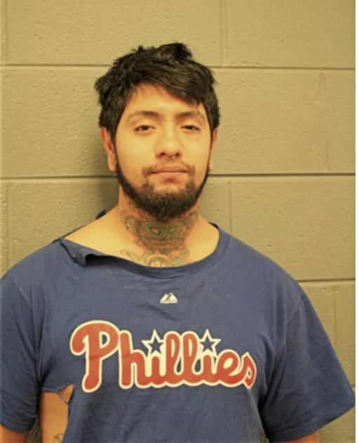 ERICK ABOYTES, Cook County, Illinois
