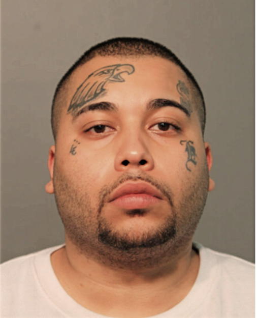 NATHANIEL D ALVARADO, Cook County, Illinois