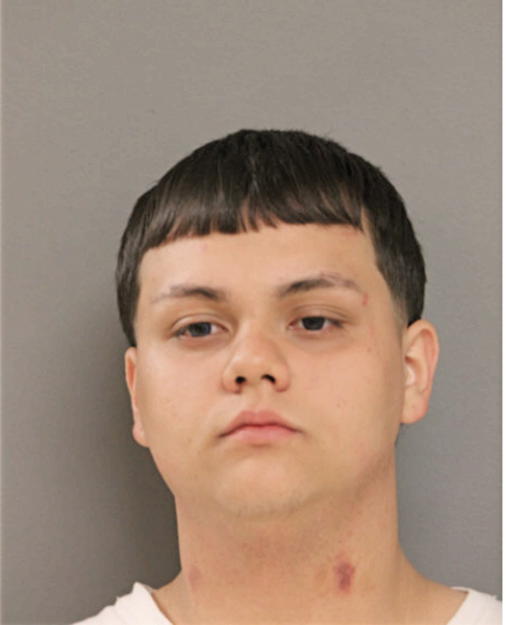 ERIK A ANDRADE, Cook County, Illinois