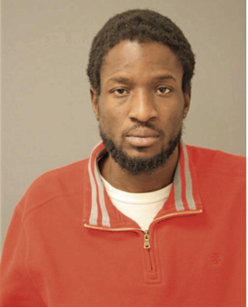 ABIDEMI ARIWOOLA, Cook County, Illinois