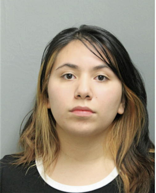 ERICCA A ARROYO, Cook County, Illinois