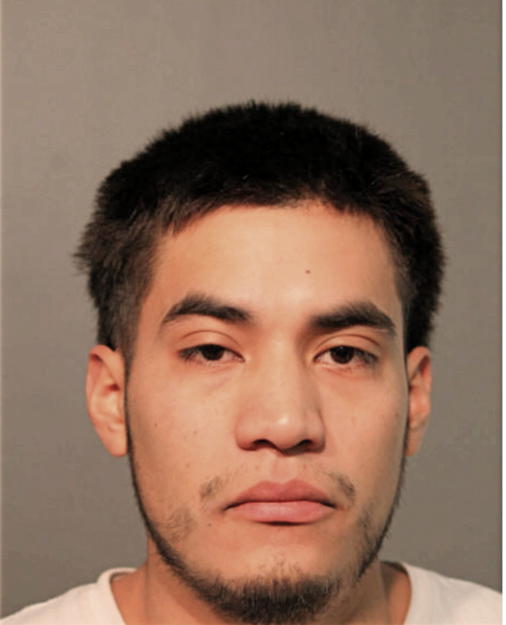 PAUL A CHAVEZ, Cook County, Illinois
