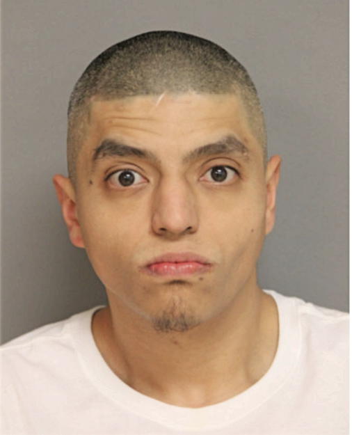 JAVIER DIAZ, Cook County, Illinois