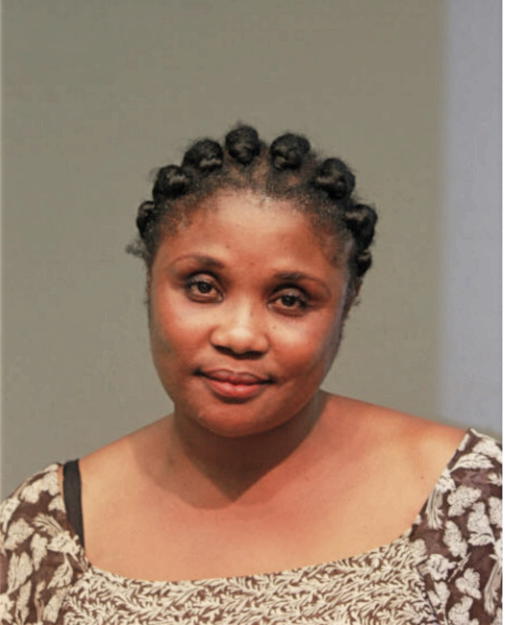 FATOU GUEYE FALL, Cook County, Illinois