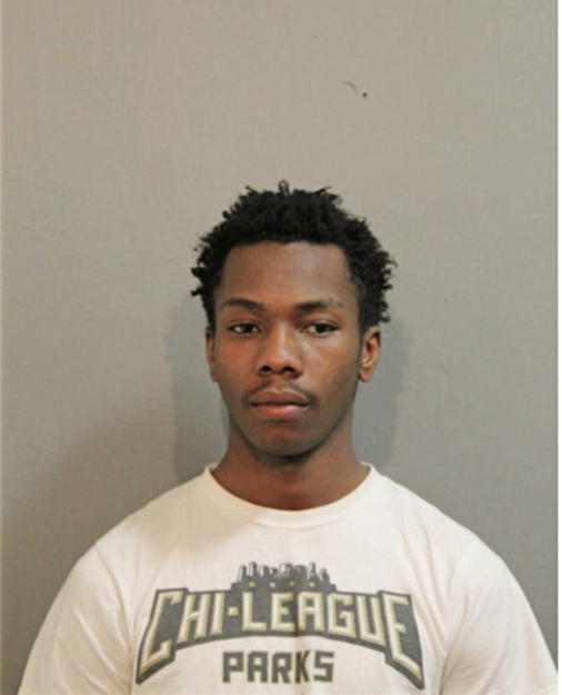 JULIAN R FERNANDEZ, Cook County, Illinois