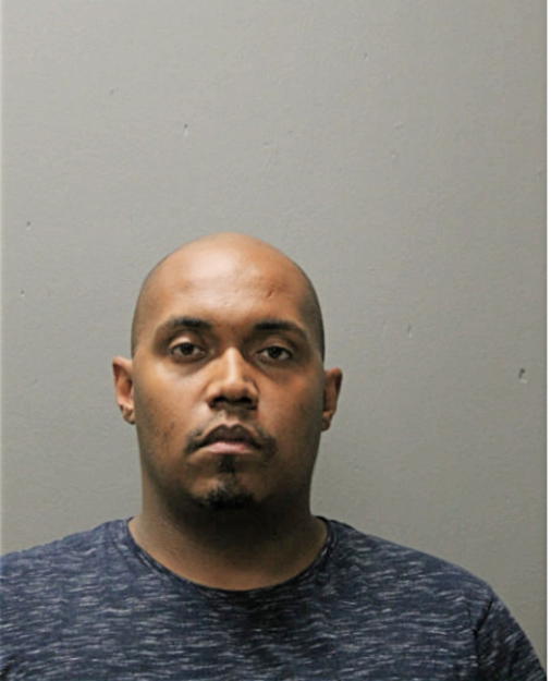 GABRIEL A FIELDS, Cook County, Illinois