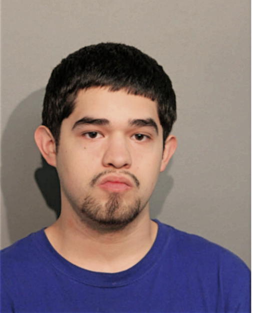 FERNANDO FLORES, Cook County, Illinois