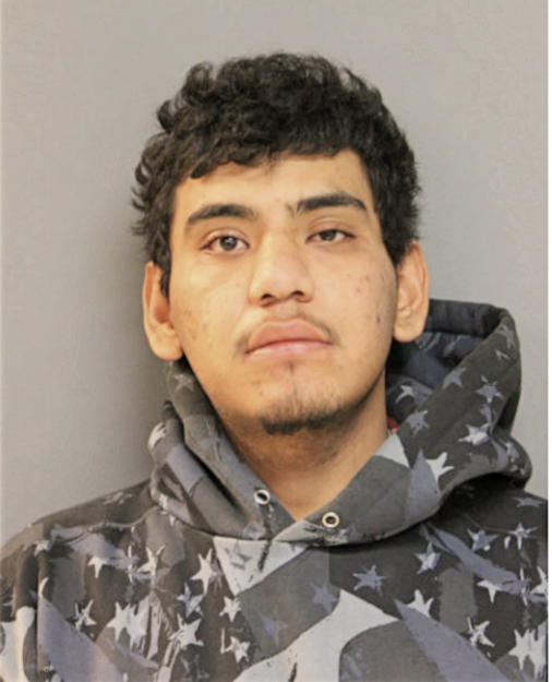 RAMIRO FLORES, Cook County, Illinois
