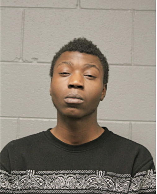 TERRELL M GOODWIN, Cook County, Illinois