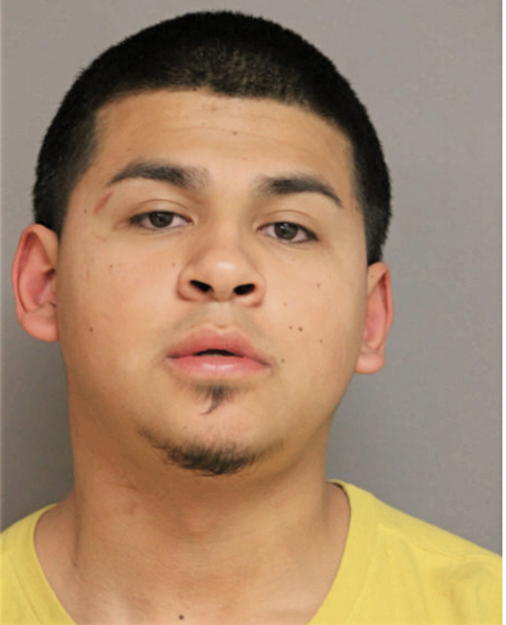 JOEL GUZMAN, Cook County, Illinois