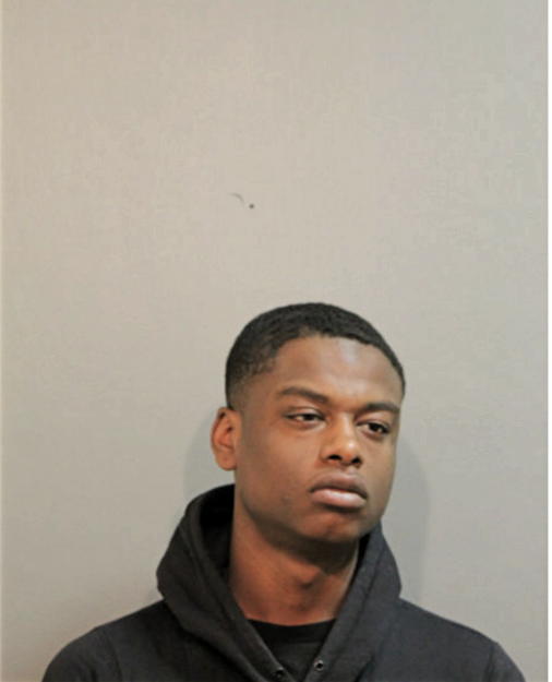 CHRISTOPHER D HIBBLER, Cook County, Illinois