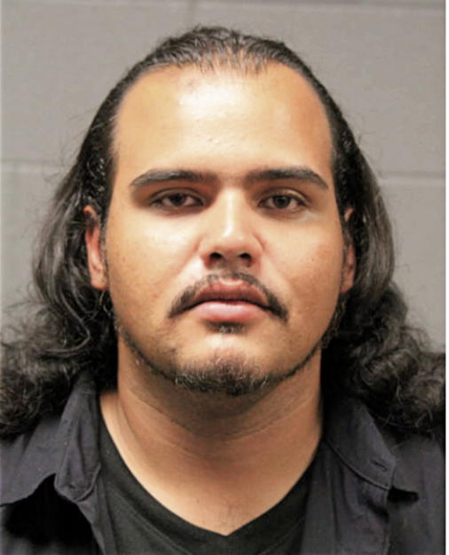 JOSE N IBARRANDO, Cook County, Illinois