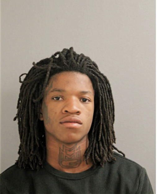 DONAMEEN R JONES, Cook County, Illinois