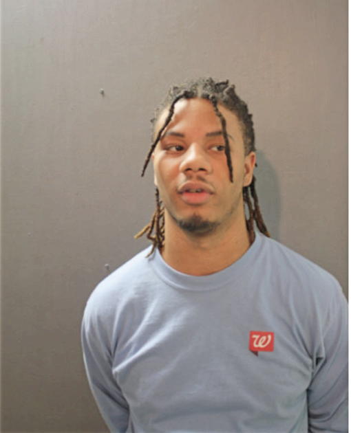 STERLING M LEWIS, Cook County, Illinois