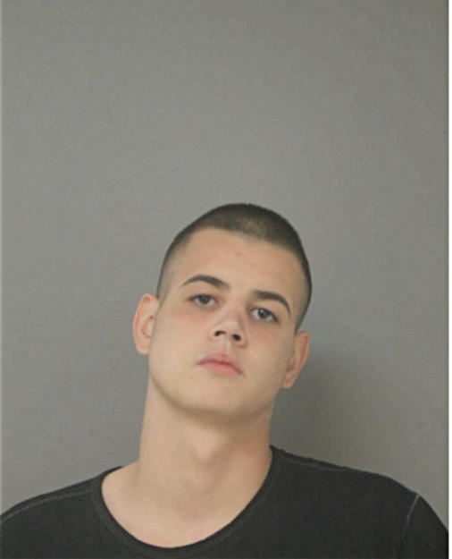 ANTHONY MICHAEL LUNA, Cook County, Illinois