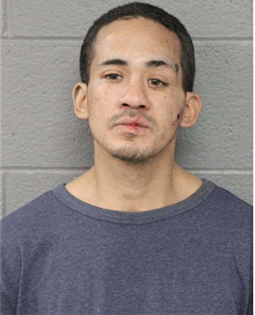 CESAR NAVARRETTE, Cook County, Illinois