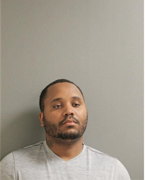 SHAKA M NELSON, Cook County, Illinois
