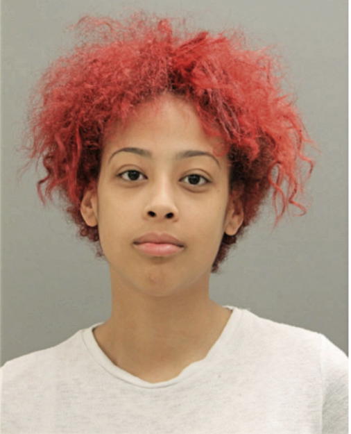 SIERRA N NELSON, Cook County, Illinois