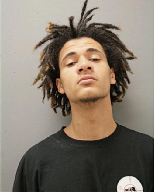 JOSEPH D PAGE, Cook County, Illinois