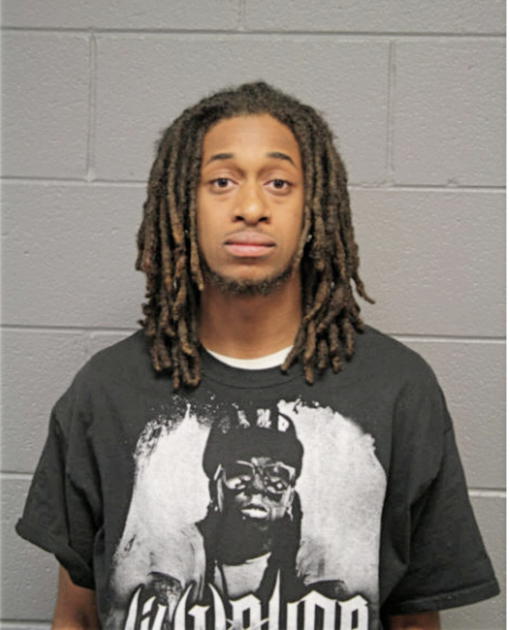 STEPHEN N PERKINS, Cook County, Illinois