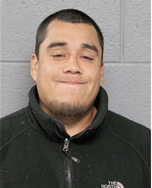 PETER PINEDA, Cook County, Illinois