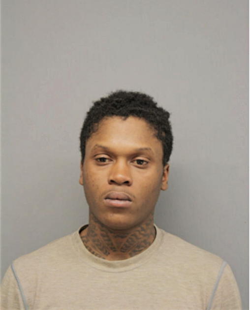 REGINALD D POLLOCK, Cook County, Illinois