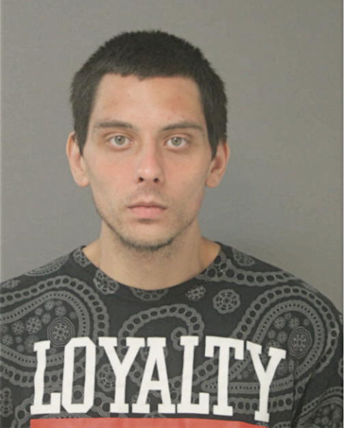 GARY L POWELL, Cook County, Illinois