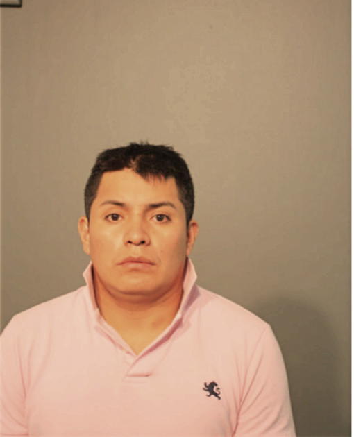 LUIS D QUINDISACA, Cook County, Illinois