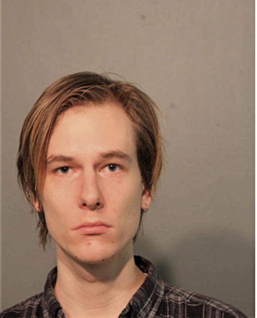 ALEXANDER J REINDL, Cook County, Illinois