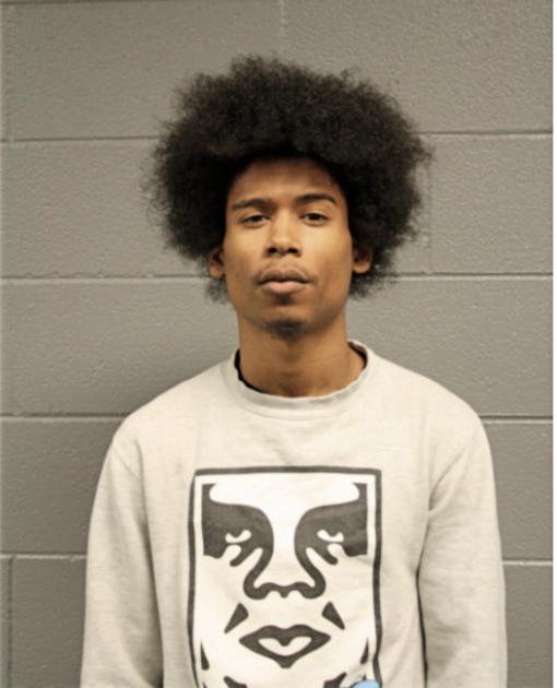 CHRISTIAN ROBINSON, Cook County, Illinois