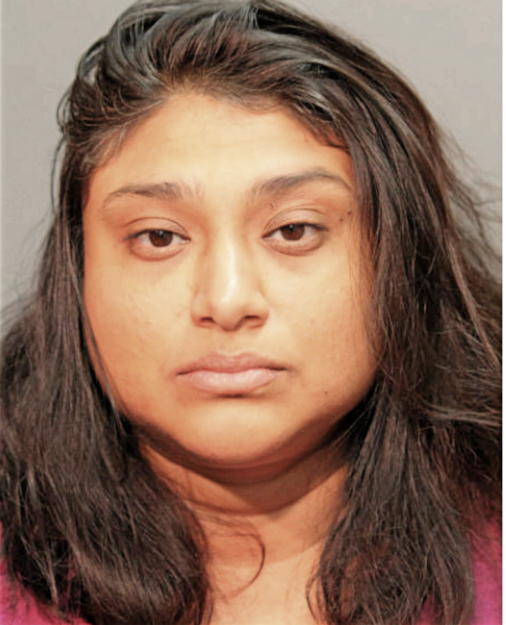 AKITA ROY, Cook County, Illinois