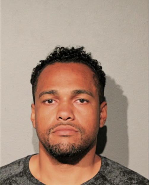DAVID L RYALS, Cook County, Illinois