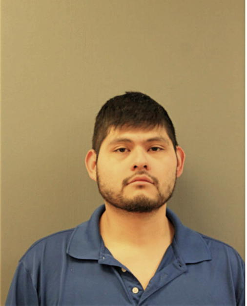 JAIME A SALGADO, Cook County, Illinois