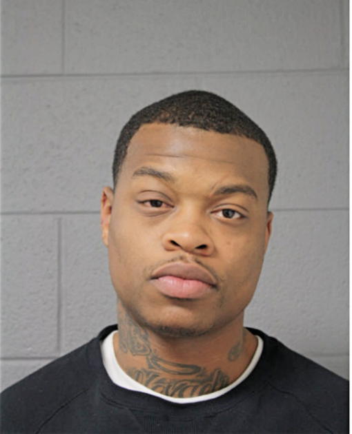 PATRICK M STEVENSON, Cook County, Illinois