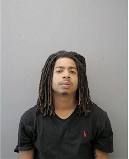 STEVEN J TRUNNELL, Cook County, Illinois