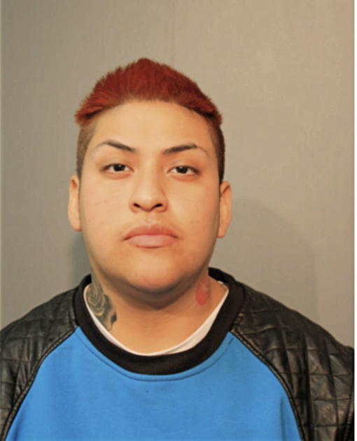 JUAREZ-LEON VIANNEY, Cook County, Illinois