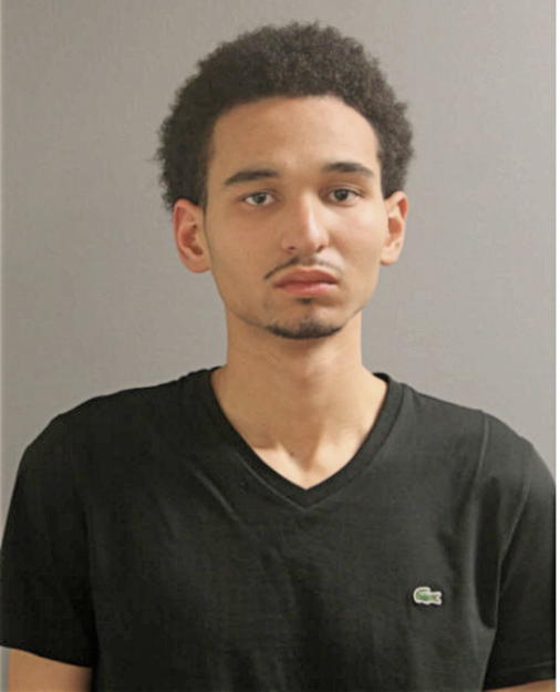 YVES D WATSON, Cook County, Illinois