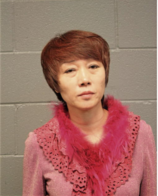 XIN YUEXIANG, Cook County, Illinois