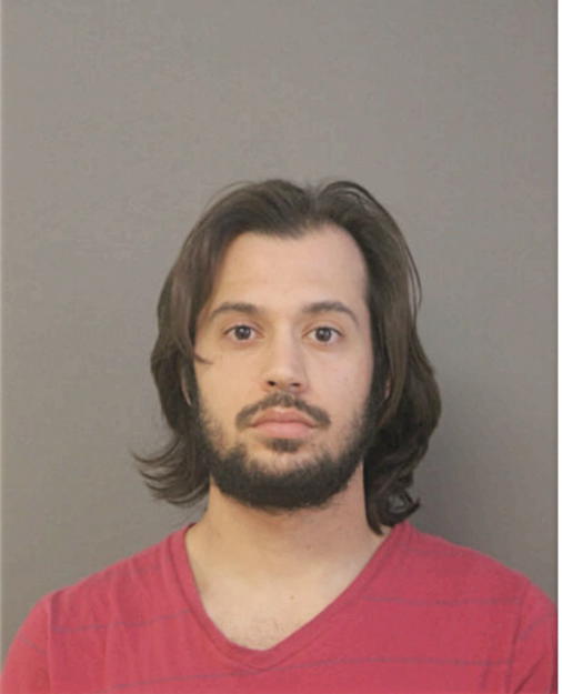DAVID A REYES, Cook County, Illinois