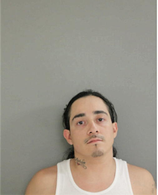 DOMINIC BOTELLO, Cook County, Illinois
