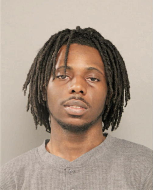 SALEEM S BROWN, Cook County, Illinois