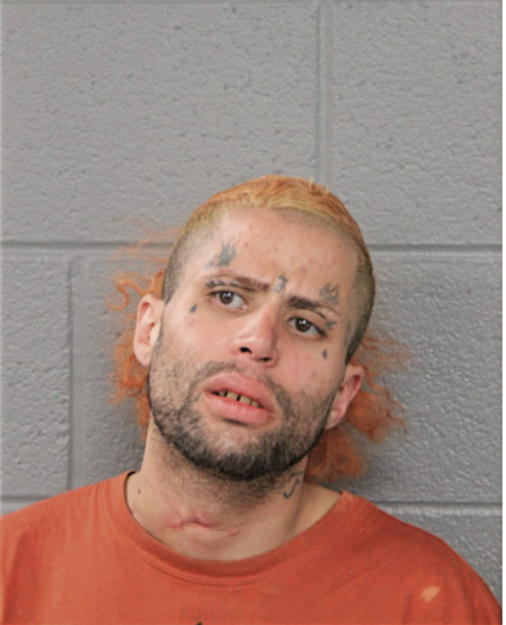 GABRIEL COLON, Cook County, Illinois