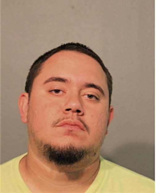 MICHAEL A ELLIOT, Cook County, Illinois