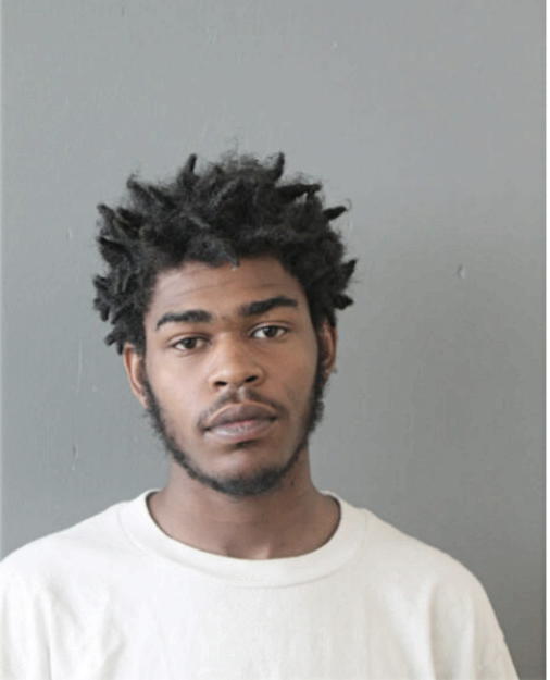 FREDERICK EVERETT, Cook County, Illinois